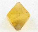 Fluorite Octahedron (Chalcopyrite Inclusions) - Illinois #37842-1